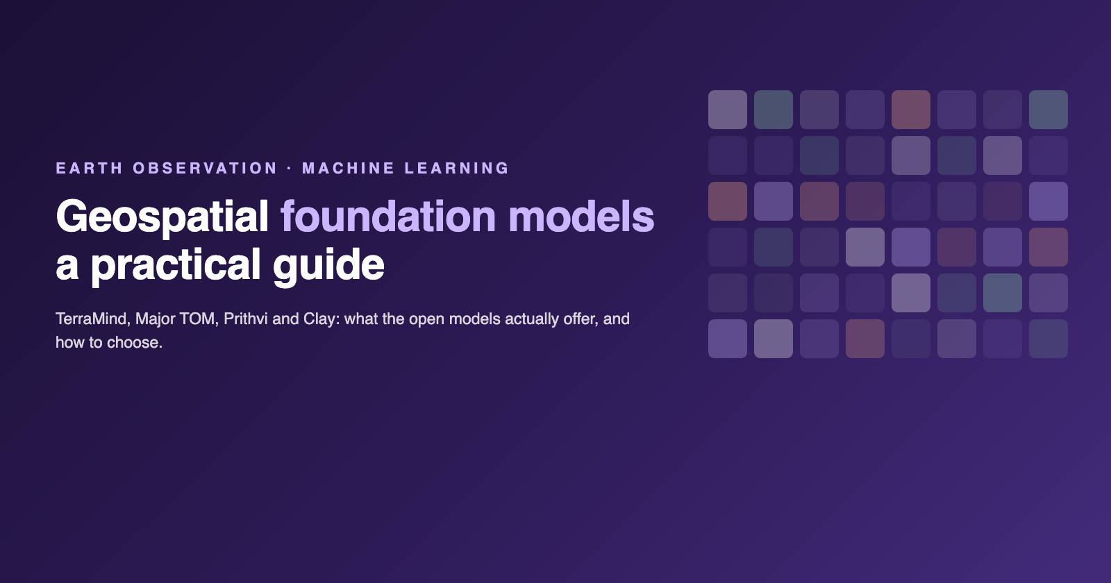 A Practical Guide to Geospatial Foundation Models