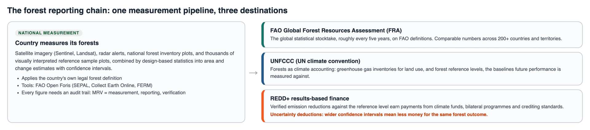 The forest reporting chain: from national measurement to FRA, UNFCCC and REDD+