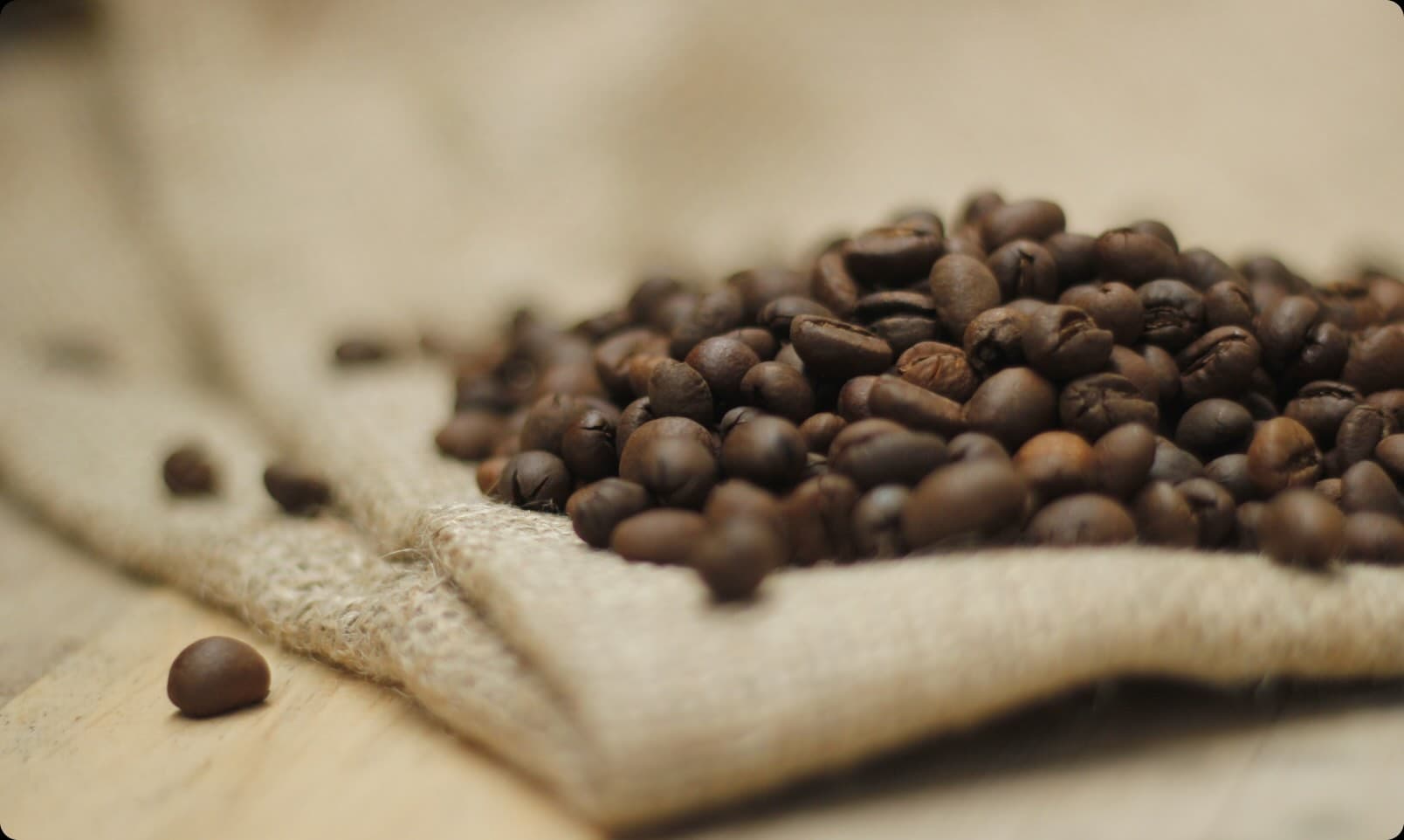 Monitoring Training for Coffee Farmers in Africa