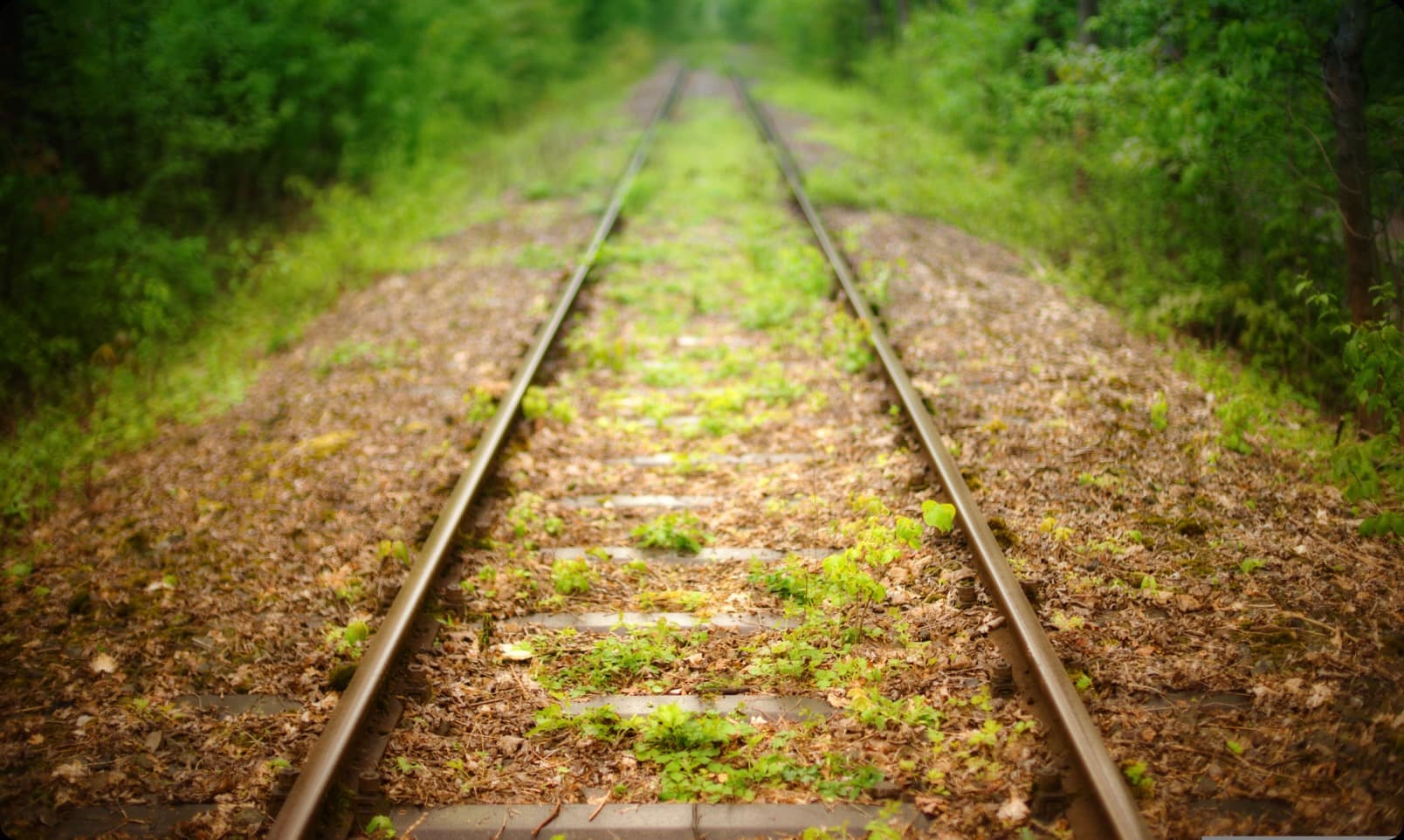 Smart Weeding System