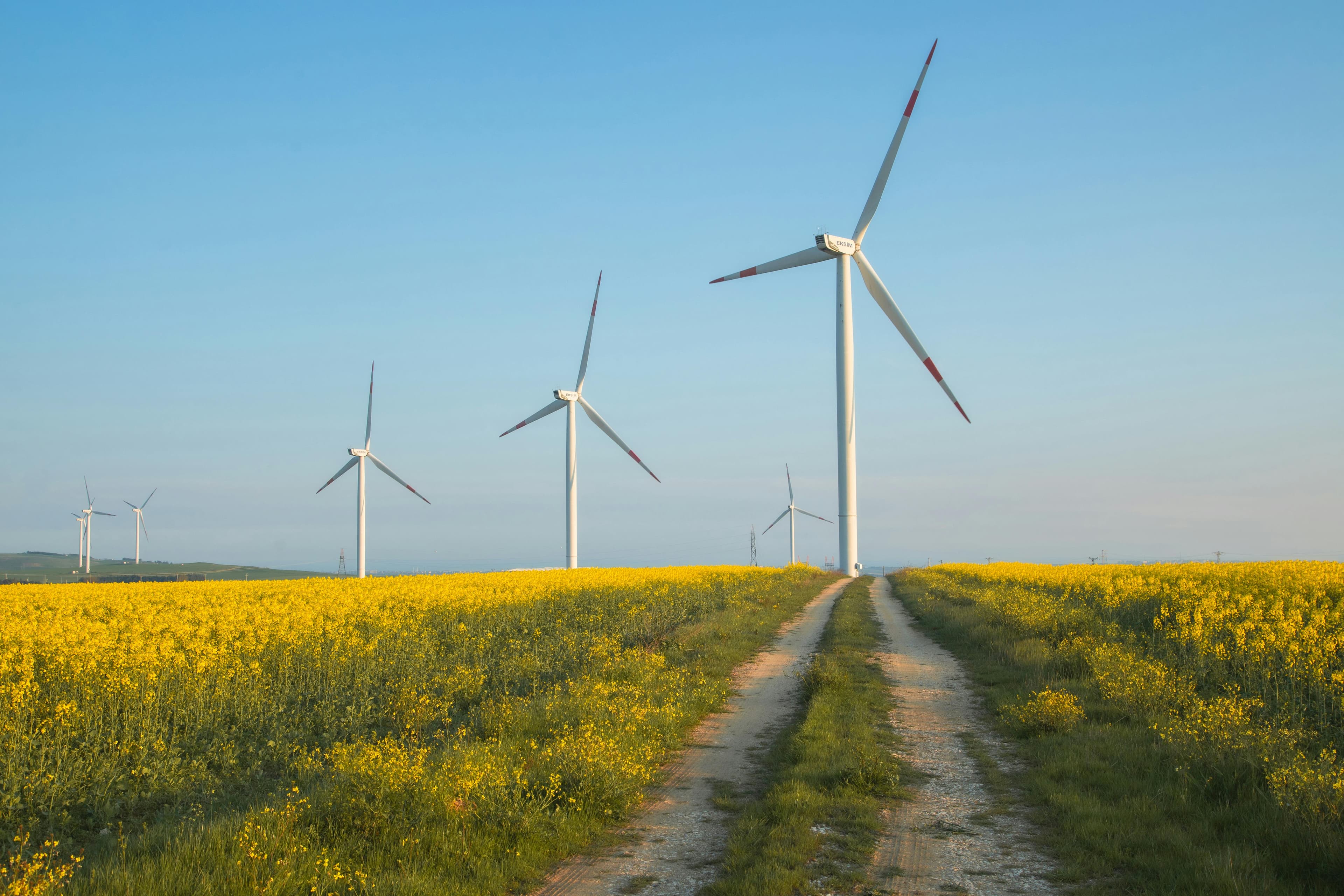 Versorger & Umweltmanagement