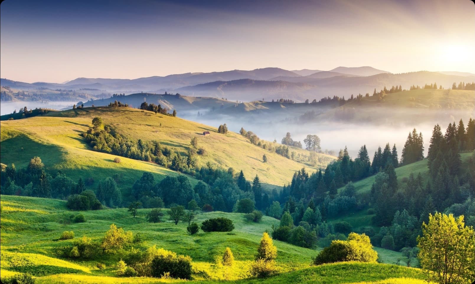 Biodiversity Net Gain Screening Tool