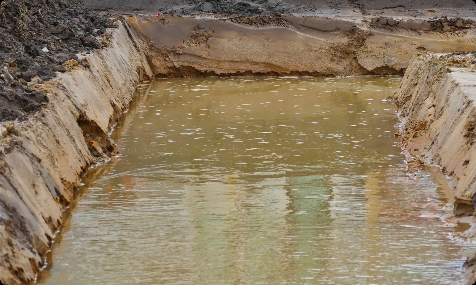 KIMoDIs Research Project