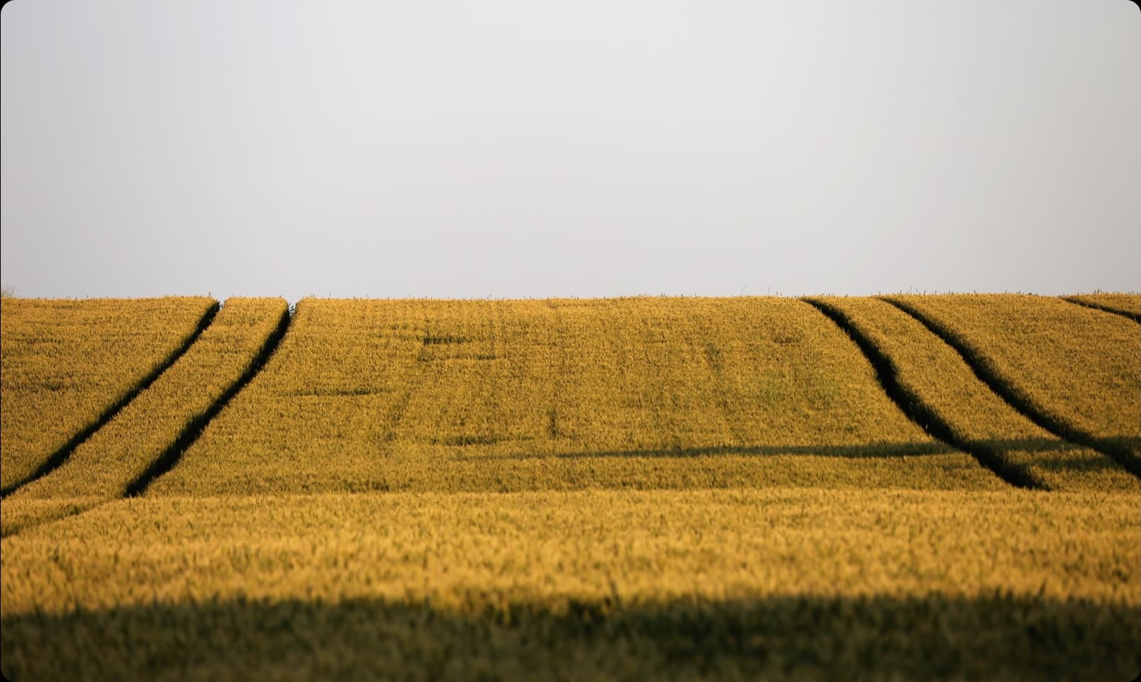 TecSAT Harvest Prognosis App