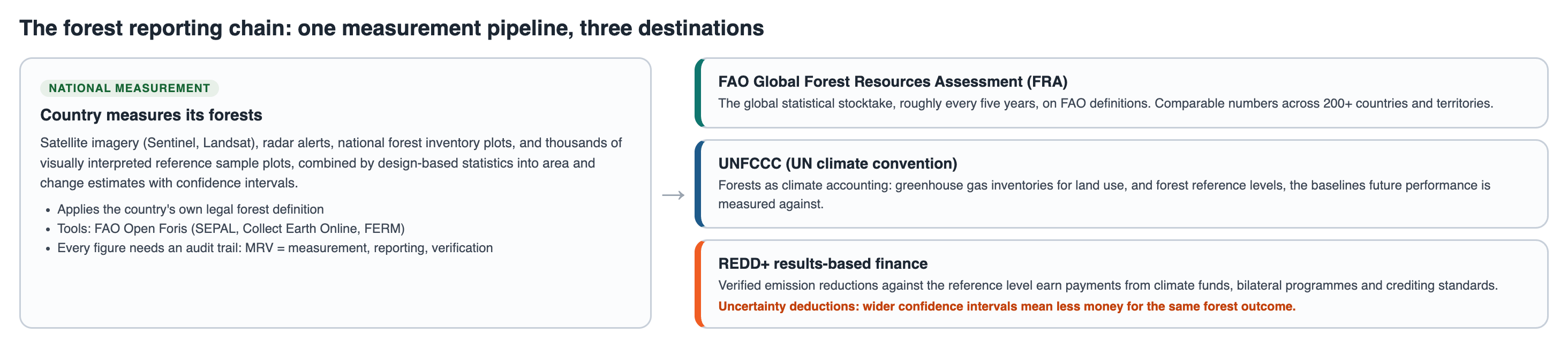 The forest reporting chain: from national measurement to FRA, UNFCCC and REDD+